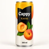 Kutu Meyve Suyu Kayısı (330 ml) küçük görseli